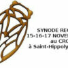 Synode Régional 2019